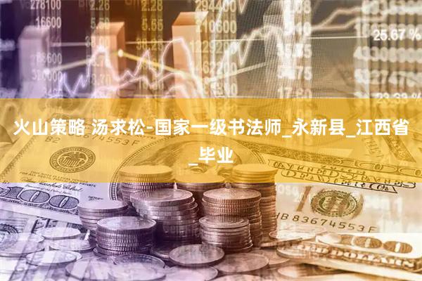 火山策略 汤求松-国家一级书法师_永新县_江西省_毕业