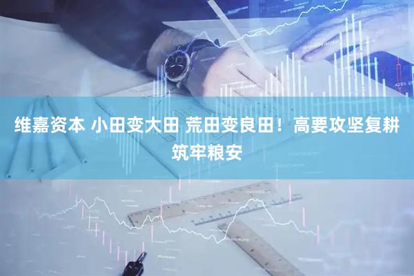 维嘉资本 小田变大田 荒田变良田！高要攻坚复耕筑牢粮安